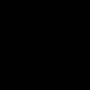 Meet your Posher, Natalai